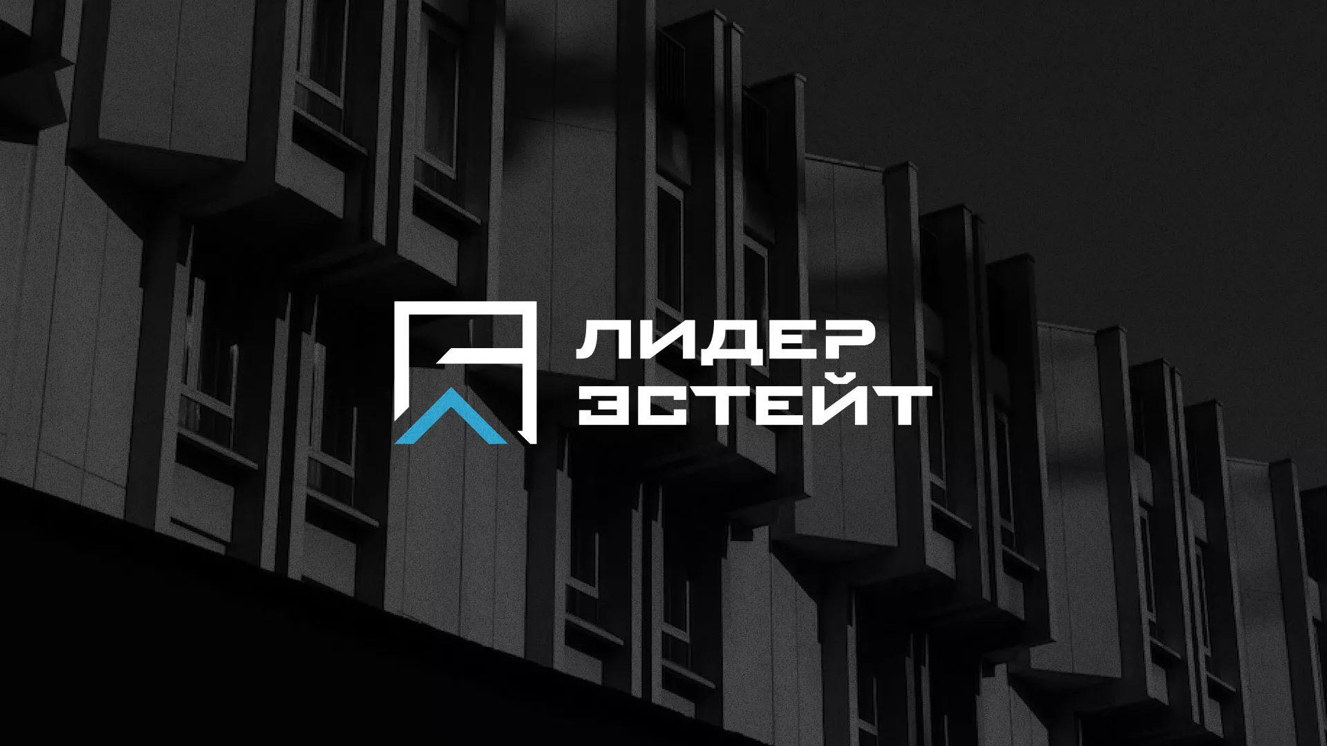 Разработка логотипа агентства недвижимости «Лидер Эстейт» в Болохово